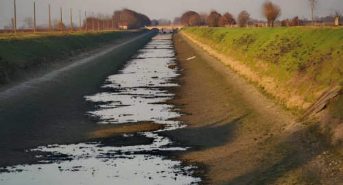 Siccit� Piemonte: richiesta di calamit� naturale per salvare l�agricoltura